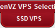 OpenVZ SSD VPS